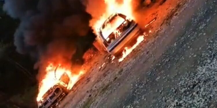 (VIDEO/FOTO) Hrvatska: Čovjek zapalio automobile kako bi iz njih istjerao žohare!