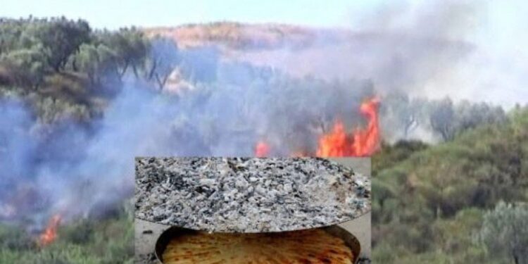 Spremao ručak, spalio 10 hektara zemlje
