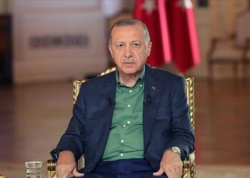 Erdogan: Šumski požari su međunarodna prijetnja kao i COVID-19