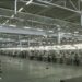 (VIDEO) Zatvorena fabrika Geoxa u Srbiji, više od 1000 radnika ostalo bez posla