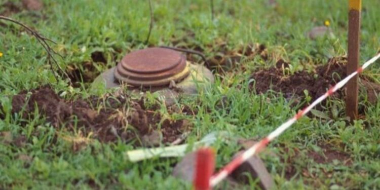 TRAGEDIJA POGODILA BIH: Demineri izvukli tijela dvojice lovaca iz minskog polja kod Zavidovića