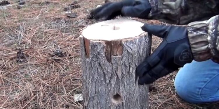 (VIDEO) Izbušio je dvije rupe u panju i napravio genijalnu caku za boravak u prirodi!