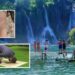Strašno: Napao i pretukao Arape koji su došli na Kravice i klanjali pored vodopada!