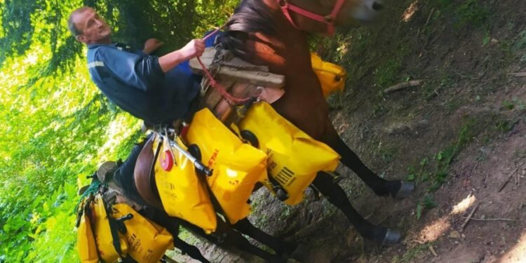 DODIKOV INAT JE POSTAO POGUBAN I ZA SRPSKI NAROD: Na Palama vodu za gašenje požara dopremaju konjima (FOTO)