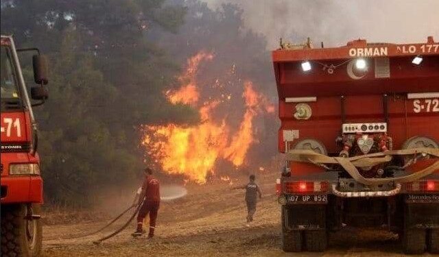U šumskim požarima u Turskoj šestoro poginulih, i dalje bukti kod Antalije i Mugle