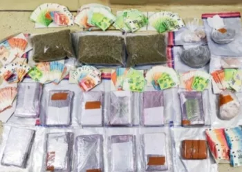 18 SRBA PALO ZBOG DROGE U BEČU, ZAPLIJENJENO 29 KILA KOKAINA A DILER SE KOLIMA ZALETIO NA POLICIJU
