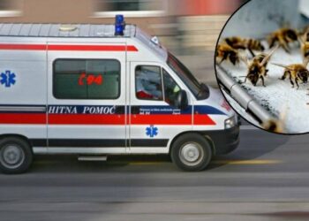 BILO JE KAO U HORORU: PREVRNUO SE DŽIP, PČELE IZUJEDALE VOZAČA, LJEKARE I POLICAJCE