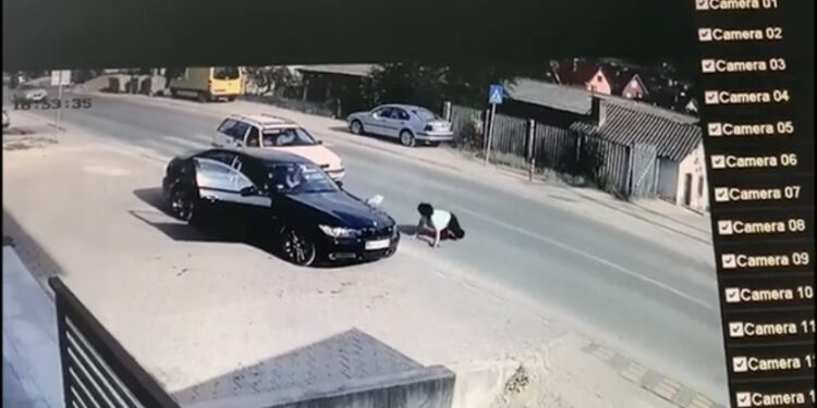 (VIDEO) Auto pokosilo ženu na pješačkom prijelazu u Novom Pazaru