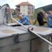 (VIDEO): U Tutinu sprovedena akcija uklanjanja pasa lutalica