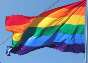 Švicarska je zemlja koja još uvijek zabranjuje homoseksualne brakove