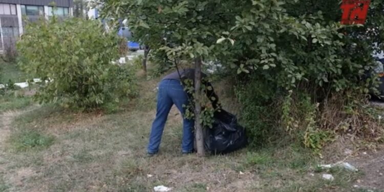 (VIDEO): Radno sposobni korisnici socijalne pomoći danas čistili Tutin ﻿