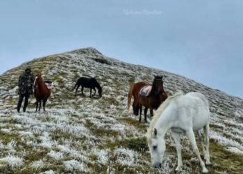 (VIDEO) Zabijeljela Bjelasica, pao prvi snijeg