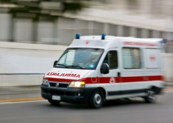 Pronađena tri tijela u Beogradu, dva u fazi raspada