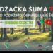 Sandžačka šuma Turskoj – poklon narodu Turske od naroda iz Sandžaka