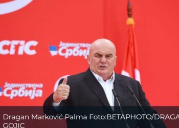 Država dala Palmi 100 miliona za program „3.000 za gospođu“