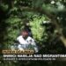 (VIDEO): Maskirane osobe udaraju migrante u Hrvatskoj i tjeraju ih da ‘idu u Bosnu’