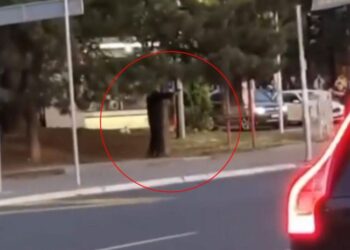 (VIDEO) POGLEDAJTE FILMSKI SNIMAK PUCNJAVE U BEOGRADU