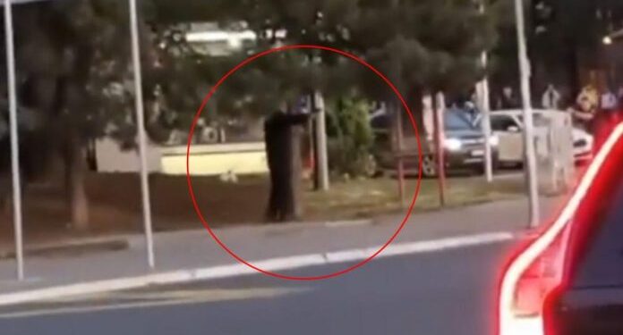 (VIDEO) POGLEDAJTE FILMSKI SNIMAK PUCNJAVE U BEOGRADU