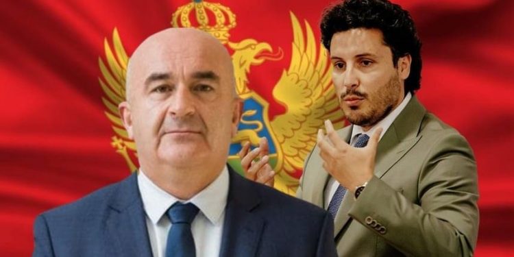 Abazoviću i Jokoviću Vlada i Skupština Crne Gore?