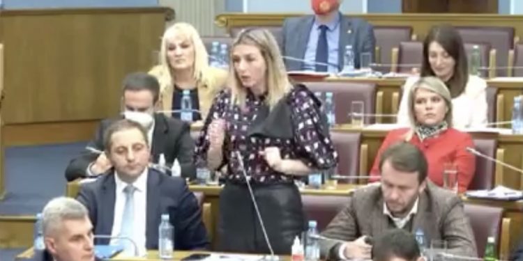 (VIDEO) STRUJIĆ-HARBIĆ: BOŠNJACI SE NE PLAŠE VAS KOJI PORUČUJETE DA KUPIMO KARTU U JEDNOM SMJERU