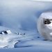 Durmitor: Od novembra sela u blokadi, konačno krenulo čišćenje puta