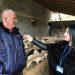 (VIDEO) MEHMED MELE AJDARPAŠIĆ, STOČAR SA NEOBIČNIM REKORDOM: OD 46 OVACA PO DVA JAGNJETA, A OD JEDNE ČAK TRI