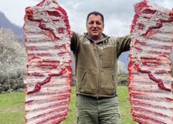 (VIDEO) Sočnost ovih goveđih rebara jednostavno je neopisiva! Recept za Goveđa rebra u pećnici 