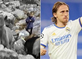 (VIDEO) ČUVAO KOZE NA VELEBITU, PA POSTAO REALOVA IKONA – NEVEROVATAN SNIMAK LUKE MODRIĆA: Sa 5 godina se nije plašio vukova!