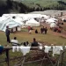 Vrijeme kada je Rožaje bilo najhumaniji grad svijeta