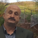 (FOTO&VIDEO) Masovna i nekontrolisana sječa šume: Ko je odgovoran za ekocid u blizini Tutina!