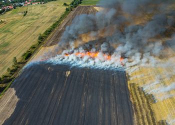 Izgorjelo više od 30 ha pšenice kod Kikinde