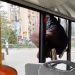 (VIDEO) Novosađanka iskočila kroz prozor busa da umakne kontrolorima GSP