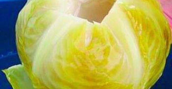 Kiseli kupus zahvaljujući bogatim nutritivnim vrednostima donosi mnogo dobrobiti za naše zdravlje