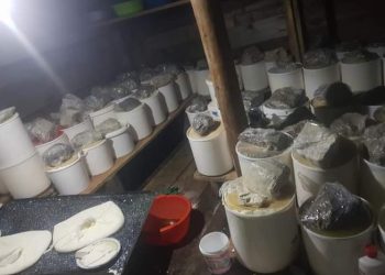 Jedne od najboljih mlečnih proizvoda na Pešteru pravi  gazdinstvo Mitka Ademovića iz Đerekara  FOTO