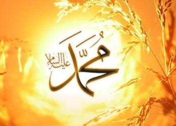 Poruke Poslanika Muhammed s.a.v.s. su trajne i sve jasnije u ovoj eri kada ljudaka inteligencija blista