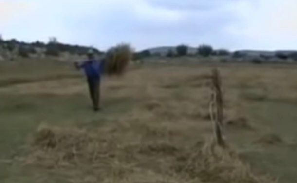 Prelijepi prilog sa Peštera,težak  život kad nema struje i mehanizacije VIDEO