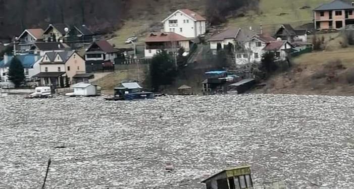 Ribarićko jezero okovano smećem,  kao da je led na povrsini  – Video/ Foto