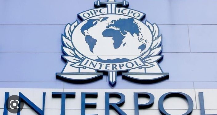 Interpol: Put u nepovrat Srbije, imenovanje Gašića Vulina i novi Zakon o policiji