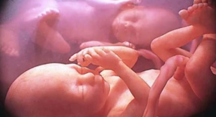 Razgovor dvije bebe u majčinoj utrobi: “Vjeruješ li u život posle poroda” upita jedna beba drugu