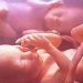 Razgovor dvije bebe u majčinoj utrobi: “Vjeruješ li u život posle poroda” upita jedna beba drugu