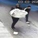Otišli kod rođaka u Prizren  pa pokrali sef u jednoj kući