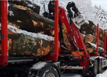 Tutinac uhapšen jer je krao drva u Crnoj Gori, trag traktora vodio do gatera u selu Boroštica