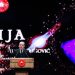 Cerić: Bošnjaci u Turskoj trebaju glasati za predsjednika Redžepa Tajipa Erdoana