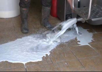 Prosipa mlijeko jer neće niko da ga kupi a mora  sledeća muža VIDEO