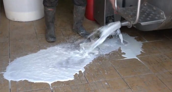 Prosipa mlijeko jer neće niko da ga kupi a mora  sledeća muža VIDEO