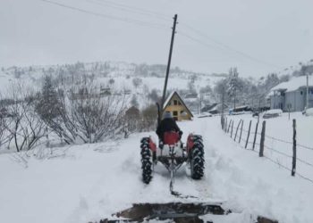 Snijeg napravio velike probleme mještanima sela u Tutinskoj opštini, veliki broj bez struje