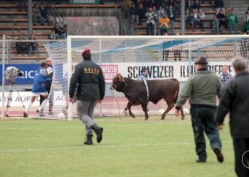 /VIDEO/ Pobegao iz klanice, pa postao fudbalski heroj: Priča o Maradoni, biku koji je “pocepao” smrtnu presudu, napravio haos na stadionu i otišao u legendu