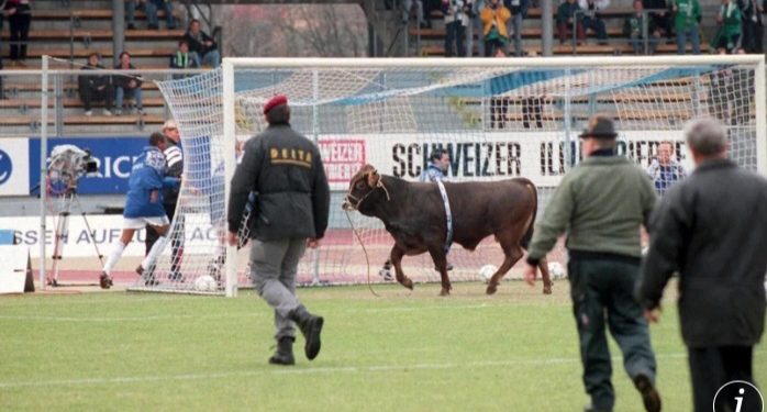 /VIDEO/ Pobegao iz klanice, pa postao fudbalski heroj: Priča o Maradoni, biku koji je “pocepao” smrtnu presudu, napravio haos na stadionu i otišao u legendu