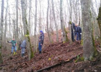Ubijena pa zapaljena: Identifikovani posmrtni ostaci šestogodišnje Amele