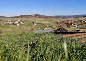 Tutin: U selu Pružanj noćas uhapšeno jedno lice, pucao rođaku psa